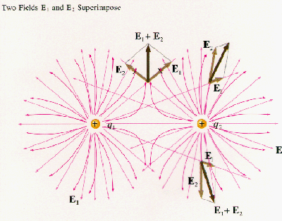 point source electric force fields